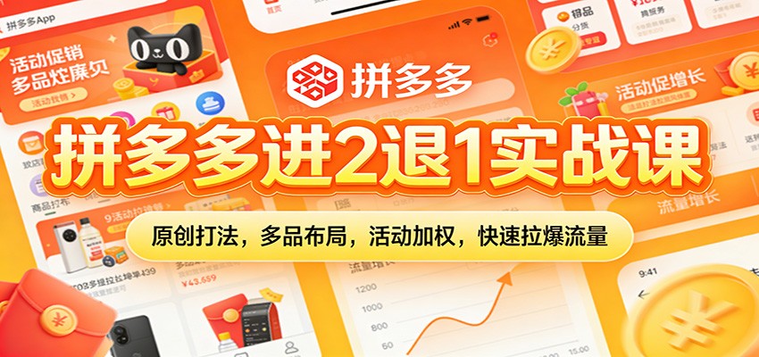 拼多多进2退1实战课：原创打法，多品布局，活动加权，快速拉爆流量-紫橙资源网