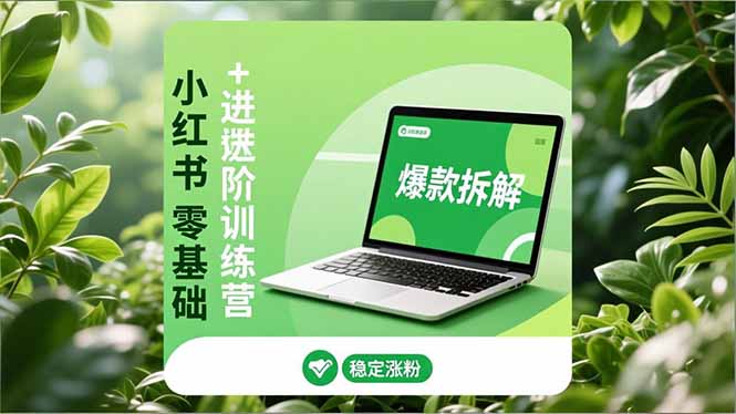 小红书零基础+高阶训练营：安全养号、爆款拆解、长效运营，实现稳定涨粉与变现-紫橙资源网