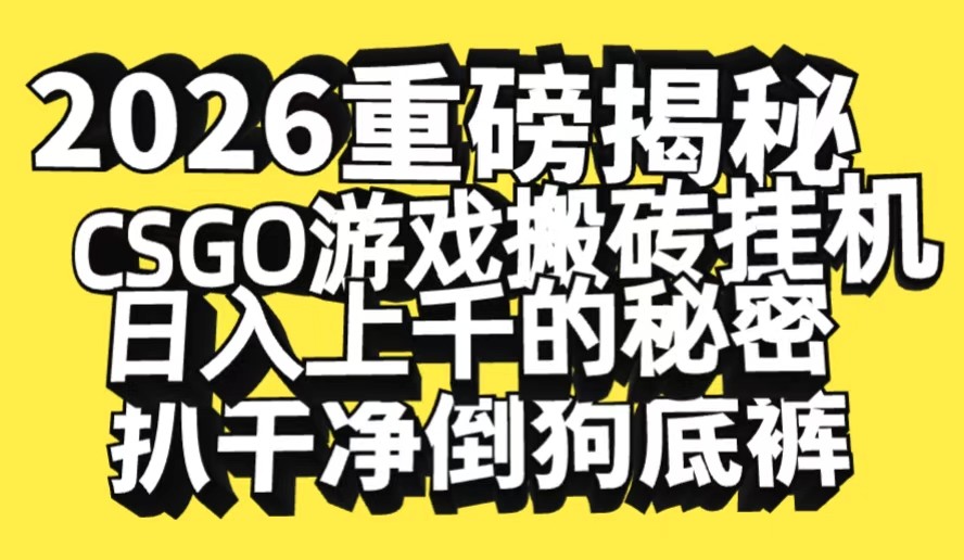 2026开年重磅解密,CSGO游戏搬砖挂机日入上千的秘密,把倒狗的底裤扒干-紫橙资源网
