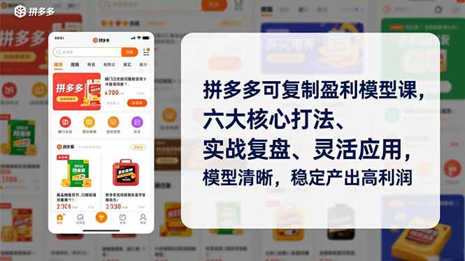 拼多多可复制盈利模型课，六大核心打法、实战复盘、灵活应用，模型清晰，稳定产出高利润-紫橙资源网