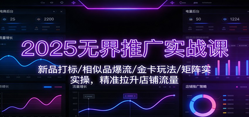 2025无界推广实战课:新品打标/相似品爆流/金卡玩法/矩阵实操,精准拉升店铺流量-紫橙资源网