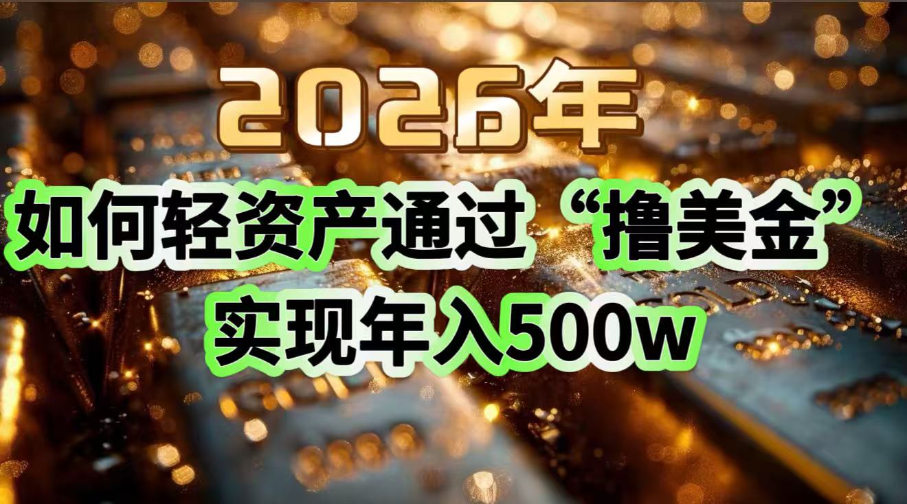 2026年如何轻资产通过“撸美金”实现年入500w-紫橙资源网