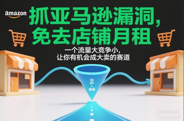 抓亚马逊漏洞,免去店铺月租,一个流量大竞争小,让你有机会成大卖的赛道-紫橙资源网