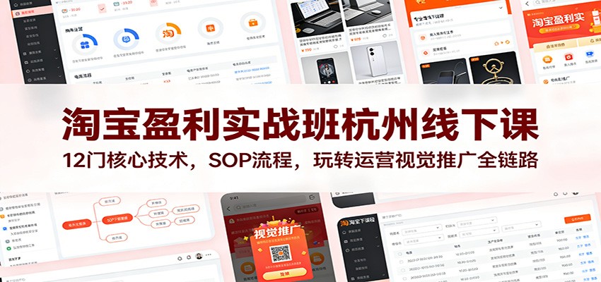 淘宝盈利实战班杭州线下课：12门核心技术，SOP 流程，玩转运营视觉推广全链路-紫橙资源网