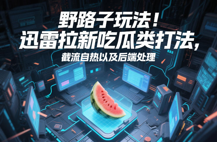 野路子玩法!迅雷拉新吃瓜类打法,截流自热以及后端处理-紫橙资源网