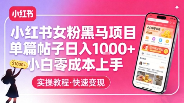 小红书女粉黑马项目，单篇帖子日入1k+，小白零成本上手-紫橙资源网