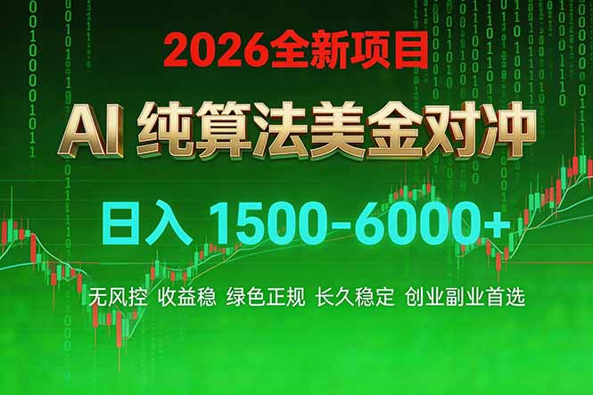 2026 全新美金对冲项目,不套平台赠金,不封号,纯算法对冲,日入 1500-6000+-紫橙资源网