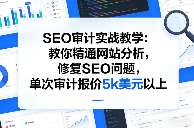 SEO审计实战教学:教你精通网站分析,修复SEO问题,单次审计报价5k美元以上-紫橙资源网