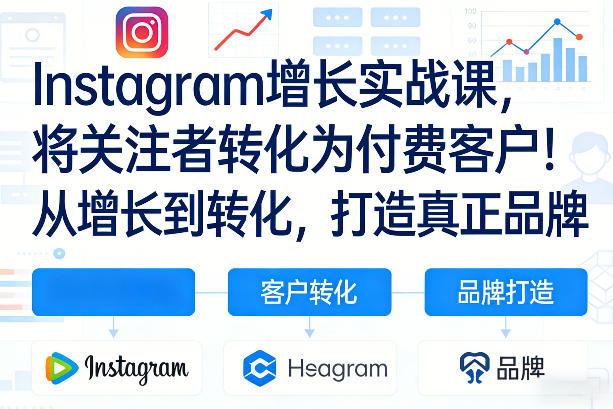 Instagram增长实战课,将关注者转化为付费客户!从增长到转化,打造真正品牌(双语字幕)-紫橙资源网