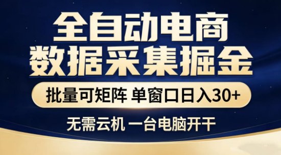 独家电商数据全自动采集项目，批量可矩阵，单窗口轻松日入3张+-紫橙资源网