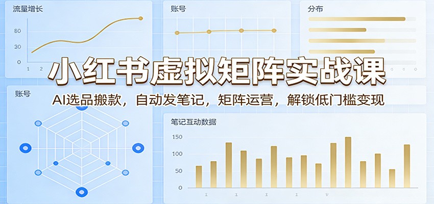 小红书虚拟矩阵实战课：AI选品搬款，自动发笔记，矩阵运营，解锁低门槛变现-紫橙资源网