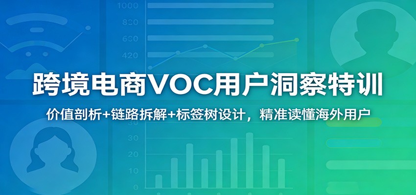 跨境电商VOC用户洞察特训:价值剖析+链路拆解+标签树设计,精准读懂海外用户-紫橙资源网