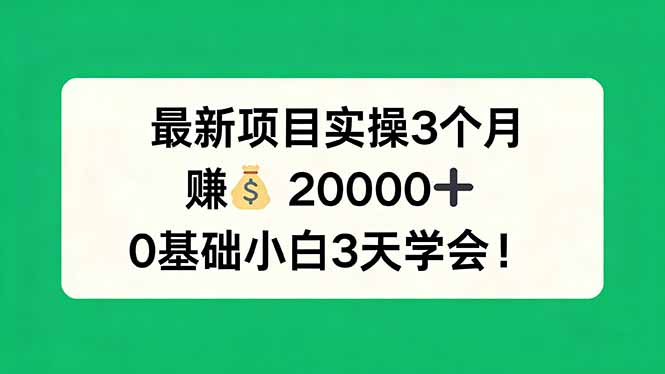 最新项目实操3个月，赚钱20000+，0基础小白3天学会！-紫橙资源网