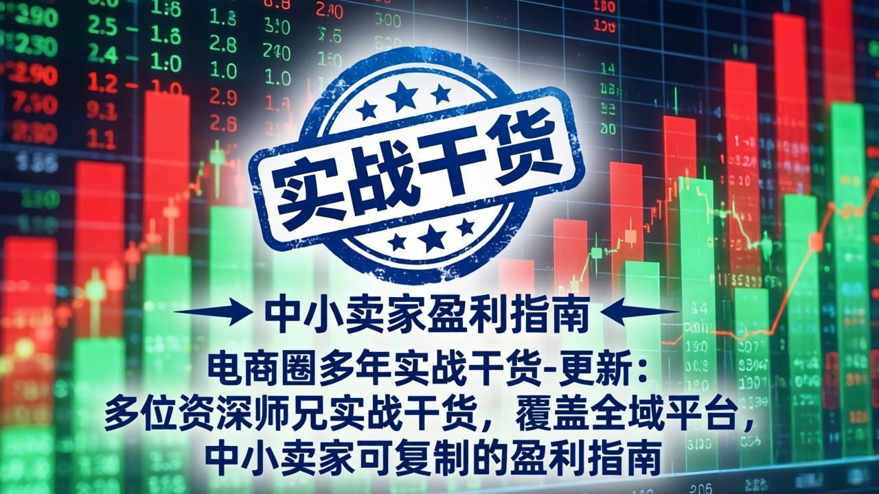 电商圈多年实战干货-更新4月:多位资深师兄实战干货,覆盖全域平台,中小卖家可复制的盈利指南-紫橙资源网