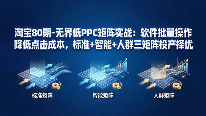 淘宝80期-无界低PPC矩阵实战：软件批量操作降低点击成本，标准+智能+人群三矩阵投产择优-紫橙资源网