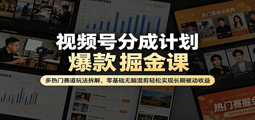 视频号分成计划爆款掘金课：多热门赛道玩法拆解，零基础无脑混剪轻松实现长期被动收益-紫橙资源网