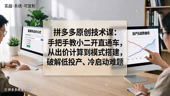 拼多多原创技术课：手把手教小二开直通车，从出价计算到模式搭建，破解低投产、冷启动难题-紫橙资源网