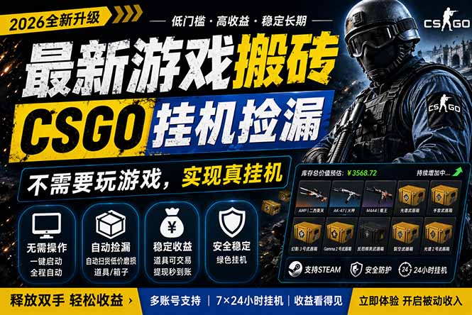 最新游戏搬砖，CSGO纯挂机，不需要玩游戏，实现真挂机，月入1W+，五一小高峰上车可吃肉，...-紫橙资源网