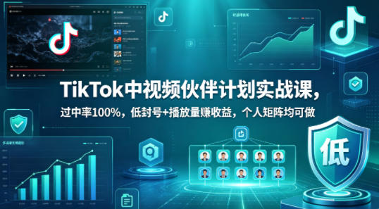 TikTok中视频伙伴计划实战课，过中率100%，低封号+播放量賺收益，个人矩阵均可做-紫橙资源网