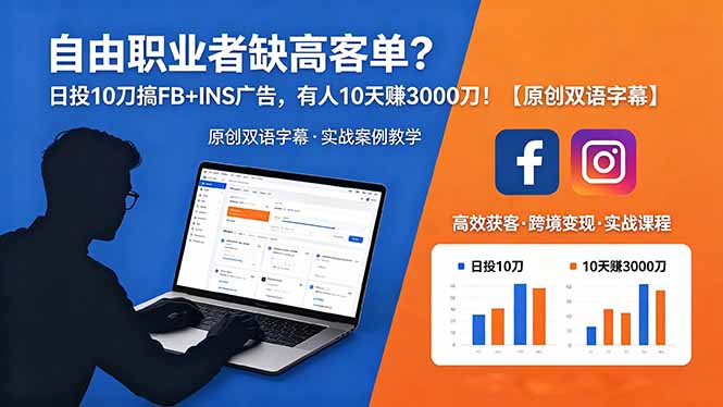 自由职业者缺高客单？日投 10 刀搞 FB+INS 广告，有人 10 天赚 3000 刀！【原创双语字幕】-紫橙资源网