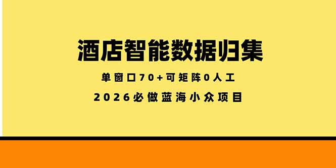 酒店智能数据归集,小众蓝海已经稳定半年之久,单窗口70+零成本矩阵开干-紫橙资源网