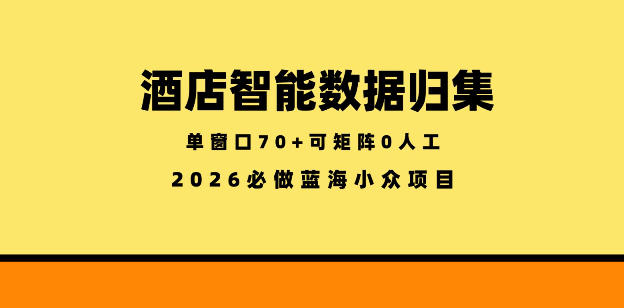 酒店智能数据归集,小众蓝海已经稳定半年之久,单窗口70+零成本矩阵开干-紫橙资源网