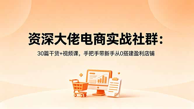资深大佬电商实战社群:30篇干货+视频课,手把手带新手从0搭建盈利店铺-紫橙资源网