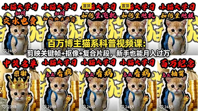 百万博主猫系科普视频课：剪映关键帧+抠像+复合片段，新手也能月入过万-紫橙资源网