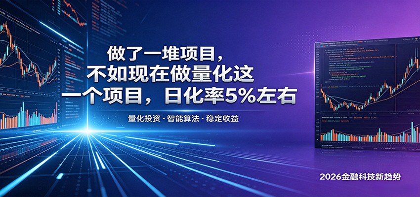做了一堆项目,不如现在做量化这一个项目,模式简单,收益可控-紫橙资源网