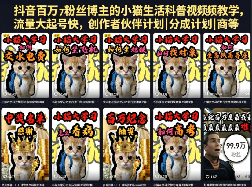 抖音百万粉丝博主的小猫生活科普视频教学,流量大起号快,创作者伙伴计划|分成计划|商单|收徒等-紫橙资源网
