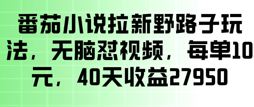 番茄小说拉新野路子玩法,无脑怼视频,玩法简单、见效快,每单10米,40天收益27950-紫橙资源网
