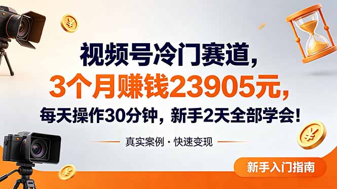 视频号冷门赛道,3个月变现23905元,新手2天学会 每天操作30分钟!-紫橙资源网