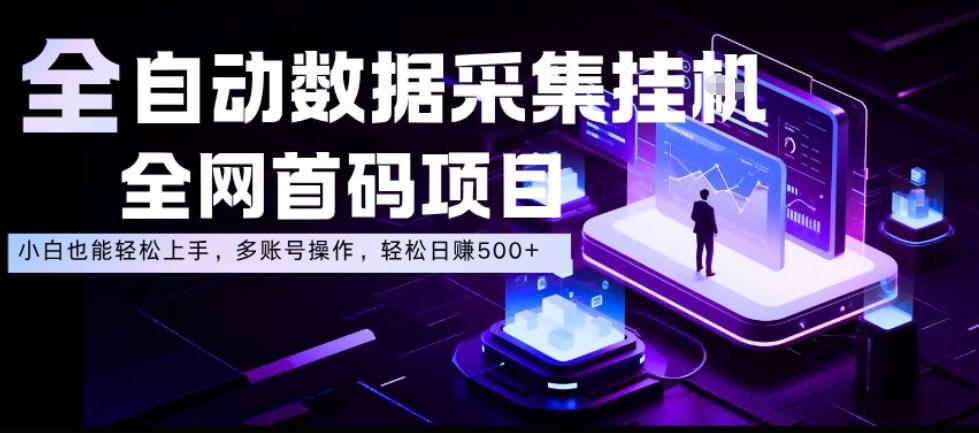 全自动数据采集挂G,全网首码项目,简单易操作,小白也能轻松上手,多账号操作,轻松日入500+-紫橙资源网