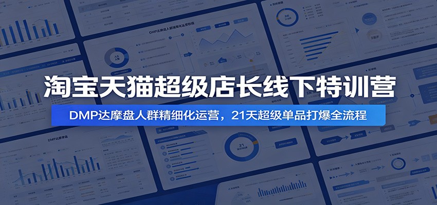 淘宝天猫超级店长线下特训营:DMP达摩盘人群精细化运营,21天超级单品打爆全流程-紫橙资源网