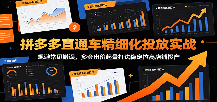 拼多多直通车精细化投放实战:规避常见错误,多套出价起量打法稳定拉高店铺投产-紫橙资源网