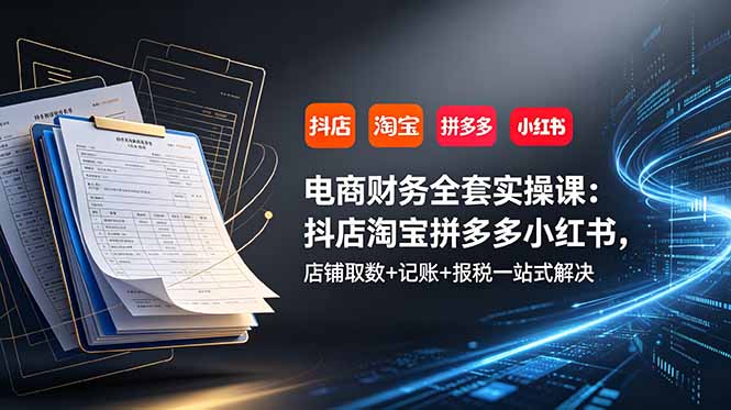 电商财务全套实操课:抖店淘宝拼多多小红书,店铺取数+记账+报税一站式解决-紫橙资源网