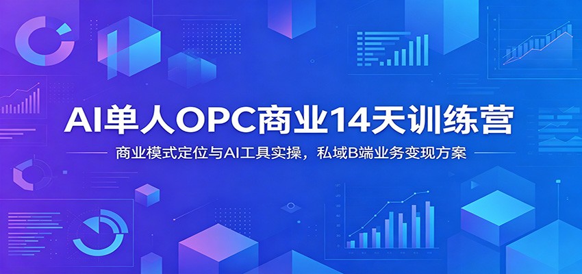 AI单人OPC商业14天训练营：商业模式定位与AI工具实操，私域B端业务变现方案-紫橙资源网