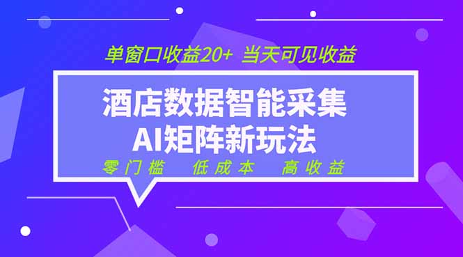 2026酒店数据采集ai智能矩阵新风口  低成本   高收益   当天见收益   单窗口20+-紫橙资源网