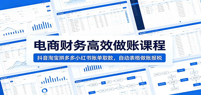 电商财务高效做账课程:抖音淘宝拼多多小红书账单取数,自动表格做账报税-紫橙资源网