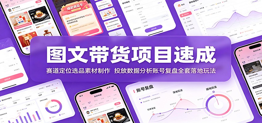 图文带货项目速成:赛道定位选品素材制作,投放数据分析账号复盘全套落地玩法-紫橙资源网