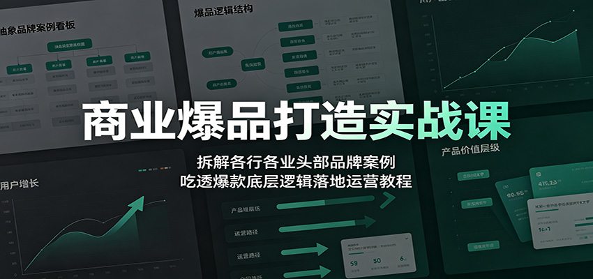 商业爆品打造实战课：拆解各行各业头部品牌案例，吃透爆款底层逻辑落地运营教程-紫橙资源网