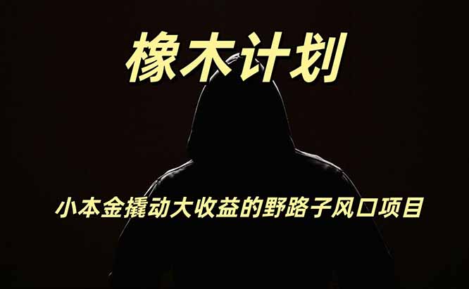 橡木计划,小投入撬动高回报的风口野路子项目,一天投入2小时左右-紫橙资源网