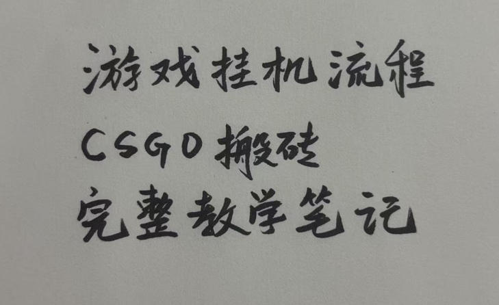 游戏挂G全流程笔记分享，CSGO游戏搬砖，小白看了当天学会见收益-紫橙资源网