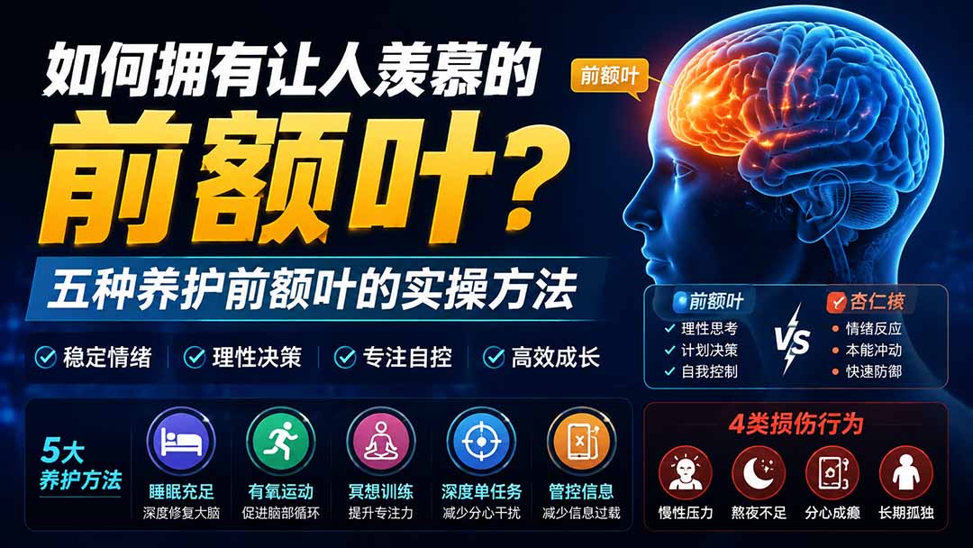 付费文章：如何拥有让人羡慕的前额叶？五种养护前额叶的实操方法-紫橙资源网