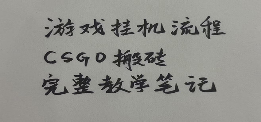 游戏挂机全流程笔记分享，CSGO游戏搬砖，小白看了当天学会见收益-紫橙资源网