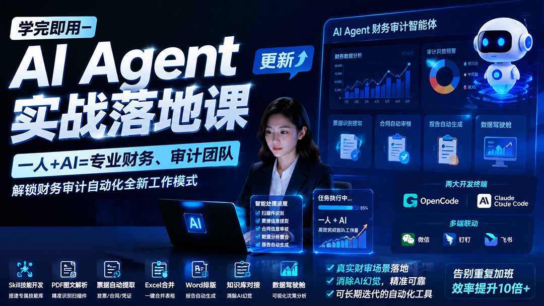 学完即用—AI Agent实战落地课-更新:一人+AI=专业财务、审计团队,解锁财务审计自动化全新工作模式-紫橙资源网