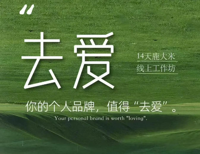 去爱14天鹿大米线上工作坊，你的个人品牌，值得“去爱”-紫橙资源网