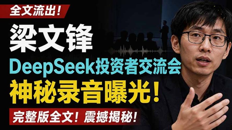 全文流出梁文锋DeepSeek投资者交流会神秘录音曝光,感兴趣的抓紧看-紫橙项目网