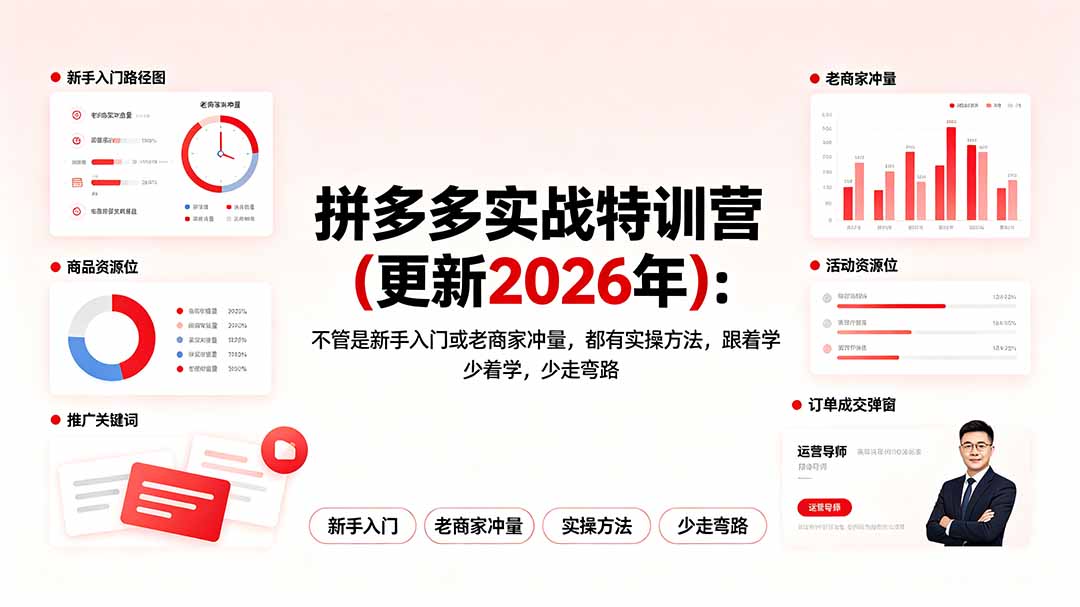 拼多多实战特训营(更新2026年)：不管是新手入门或老商家冲量，都有实操方法，跟着学，少走弯路