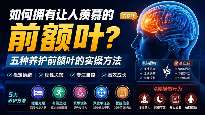 付费文章:如何拥有让人羡慕的前额叶?五种养护前额叶的实操方法-紫橙项目网